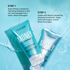 Money Laundering Travel Duo, , large, image5