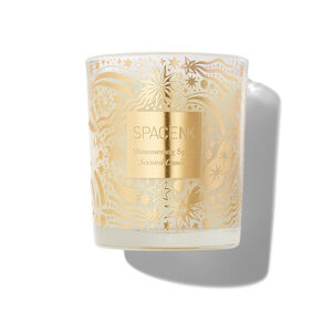 Shimmering Spice Scented Candle