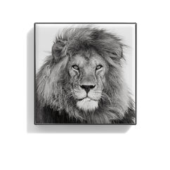 Luminescent Eye Shade, LION , large, image2