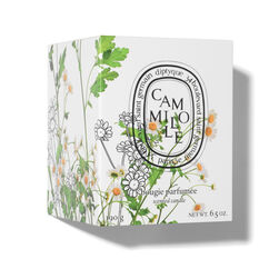 Camomille Scented Candle - Limited Edition, , large, image4