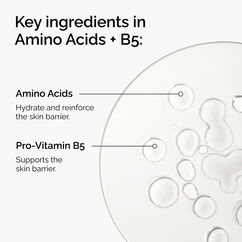 Amino Acids + B5, , large, image8