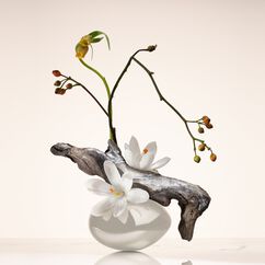 Oud Nacr&eacute; Eau de Parfum, , large, image3