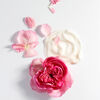 Rose de Mai Cream, , large, image3