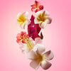 Beija Flor Elasti Body Oil, , large, image6