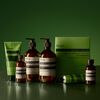 Geranium Leaf Body Scrub, , large, image7
