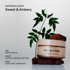 Saffron & Cedar Body Cream, , large, image6
