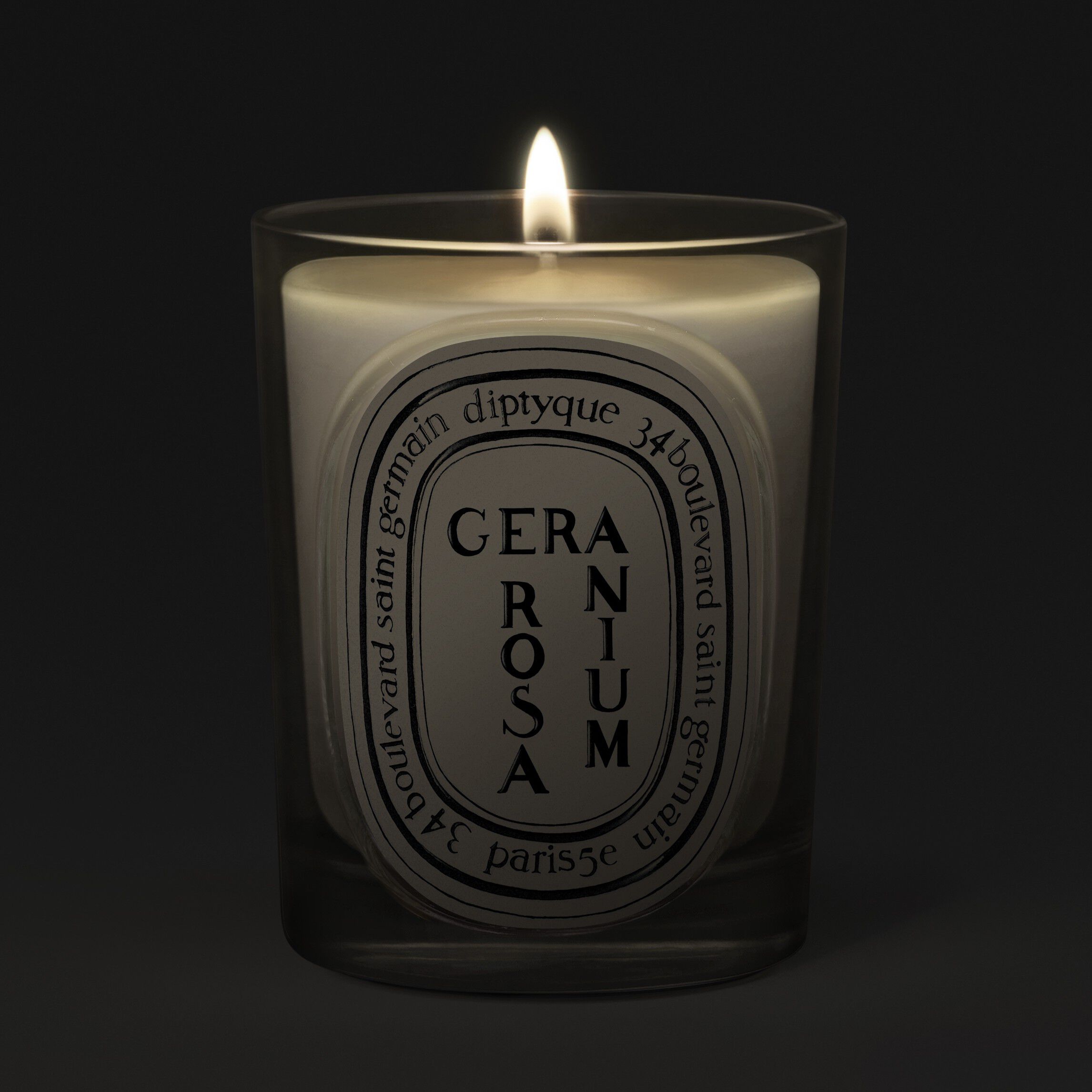 Diptyque Geranium Rosa Classic Candle 190g | Space NK