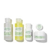 Acne Starter Regimen Kit, , large, image2