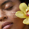 Nova Turmeric + Vitamin C Body Oil, , large, image6