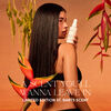 Season Greetings From St. Barts Holiday Kit 2025, , large, image8