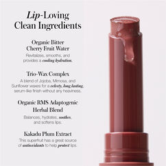 Legendary Serum Lipstick: The Nudes, MAE, large, image8