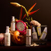 Season Greetings From St. Barts Holiday Kit 2025, , large, image10