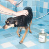 Pet Shampoo 01 "Taunt", , large, image4