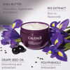 Vinosculpt Lift & Firm Body Cream, , large, image4