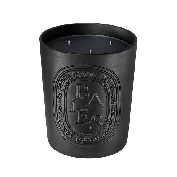 Diptyque Baies Interior Scent Room Spray Best Price And Reviews Zulily