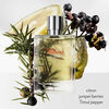Terre d’Hermès Eau Givrée Eau de Parfum, , large, image3