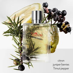 Terre d’Hermès Eau Givrée Eau de Parfum, , large, image3