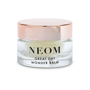 Great Day Wonder Balm