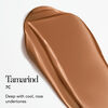 Future Skin Oil-Free Foundation, TAMARIND, large, image4