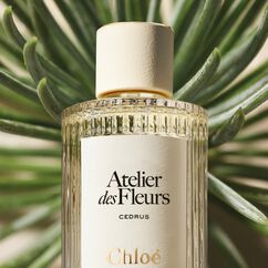 Atelier des Fleurs Cedrus Eau de Parfum, , large, image4