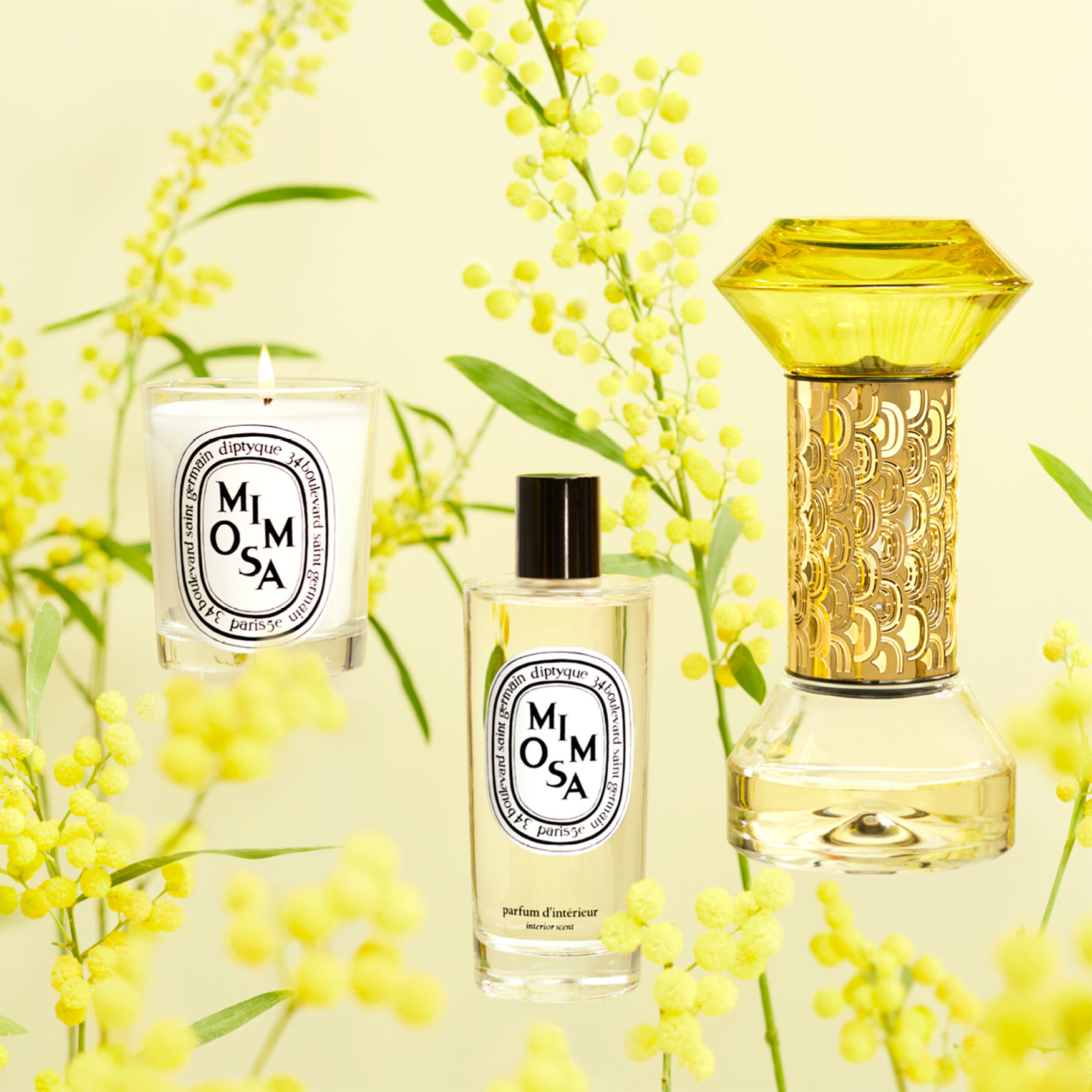 Diptyque Mimosa Scented Candle | Space NK