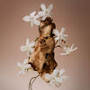 Santal Bloom Body Mist, , large, image4