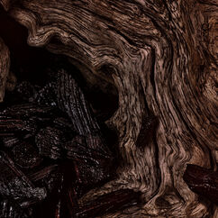 Oud Davana Eau De Parfum, , large, image4