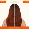 Normcore Signature Conditioner, , large, image5