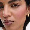 The Powder Duos, FIZZ + JAM, large, image2
