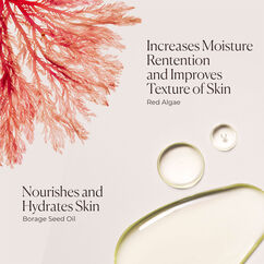 Honey Bath Ambre Vanille, , large, image5