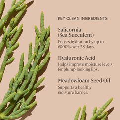 Balmy Gloss Tinted Lip Oil, LINGER, large, image7