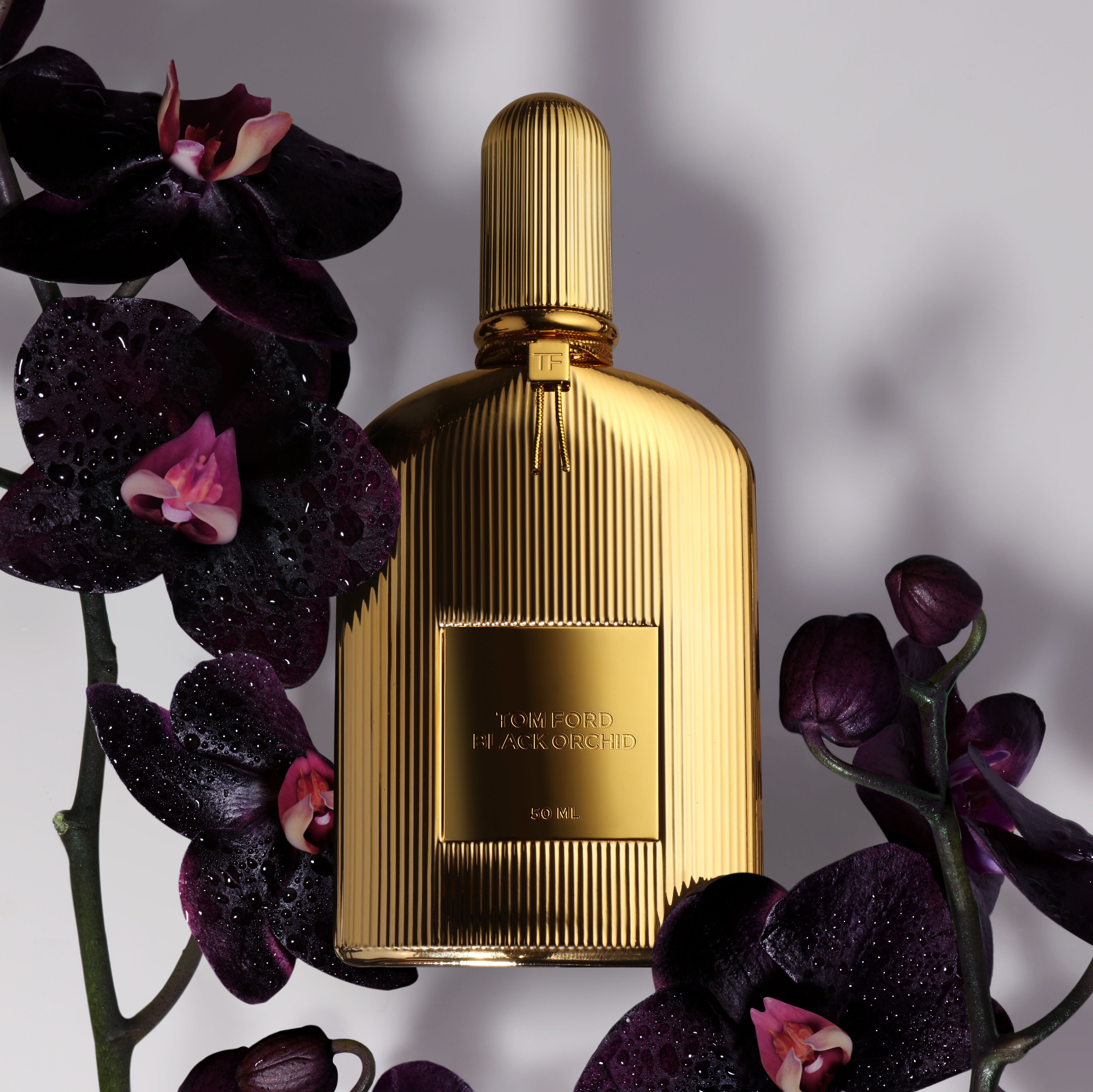 black orchid gold