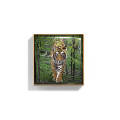 Luminescent Eye Shade, TIGER, large, image2