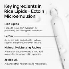 Rice Lipids + Ectoin Microemulsion Ultra Light Moisturiser, , large, image8