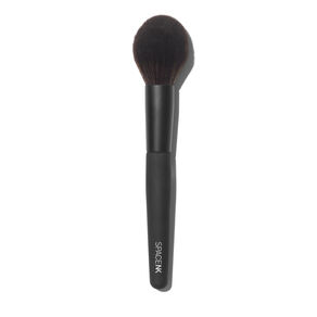 Brush 101 - Powder