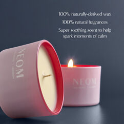 It's All Rosy 3 Wick Candle, , large, image5