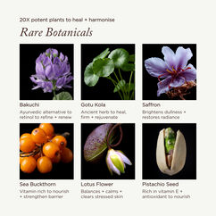 Lotus & Bakuchi Skin Harmony Cream, , large, image8