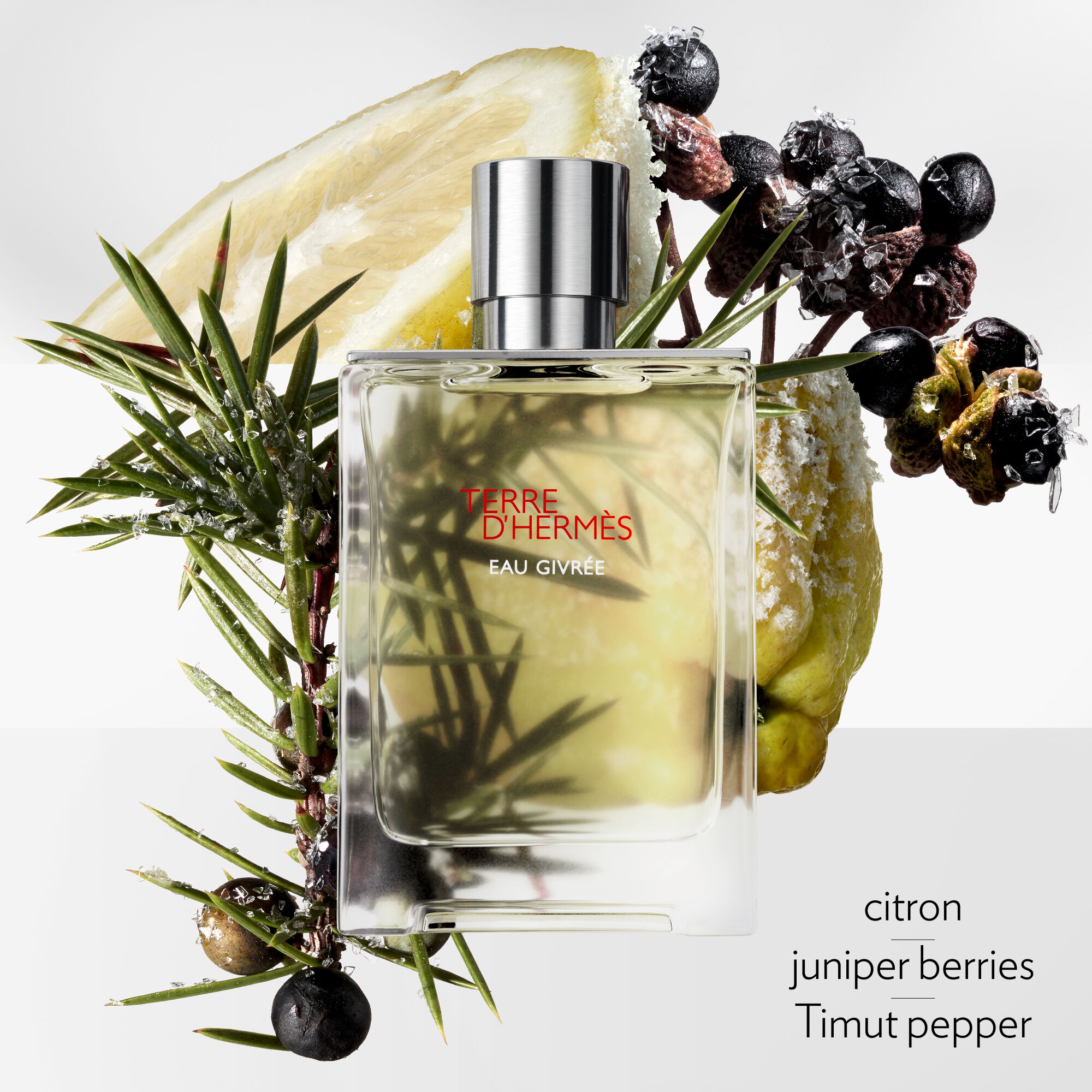 Hermès Terre d'Hermès Eau Givrée Eau de Parfum | Space NK
