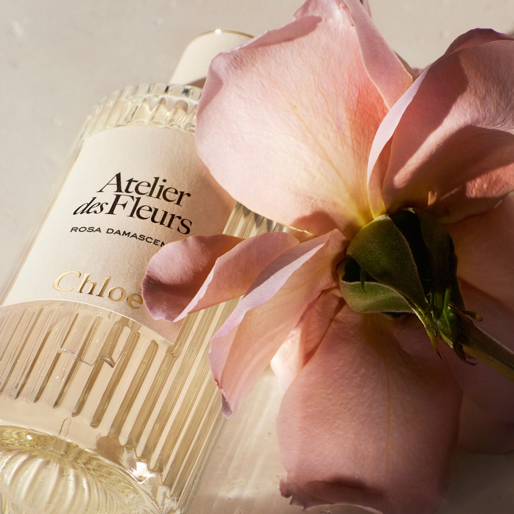 Chloé Atelier des Fleurs Rosa Damascena Eau de Parfum | Space NK