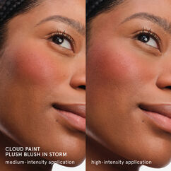 Cloud Paint Plush Blush, STORM, large, image4