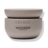 Reconstructing Treatment Mask, , large, image1