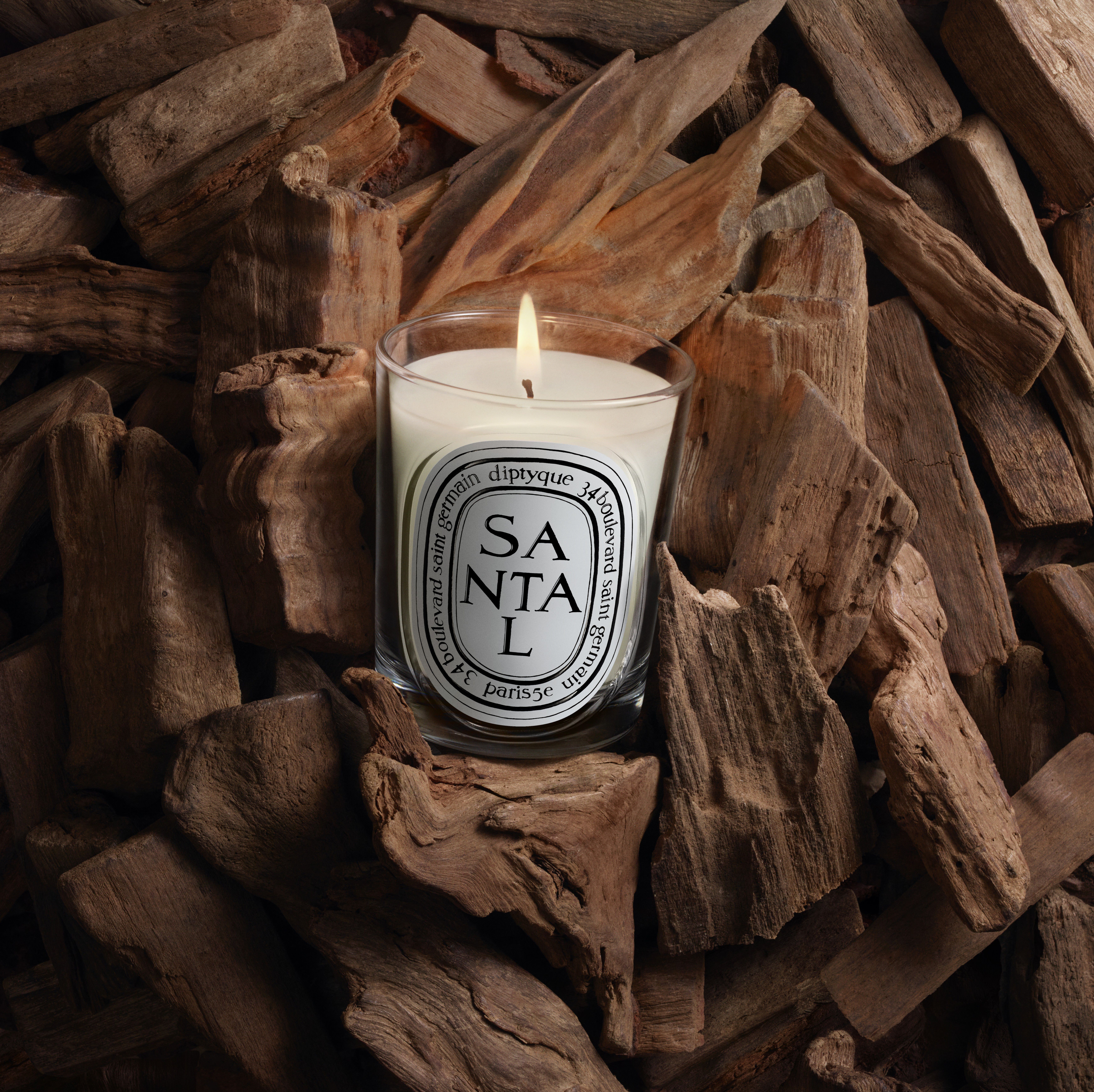Diptyque Refill classic candle Santal 190g | Space NK