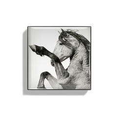 Wild Mustang Luminescent Eye Shade, PINTO, large, image2