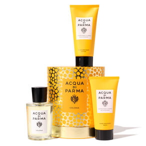 Holiday 2025 Colonia Value Set