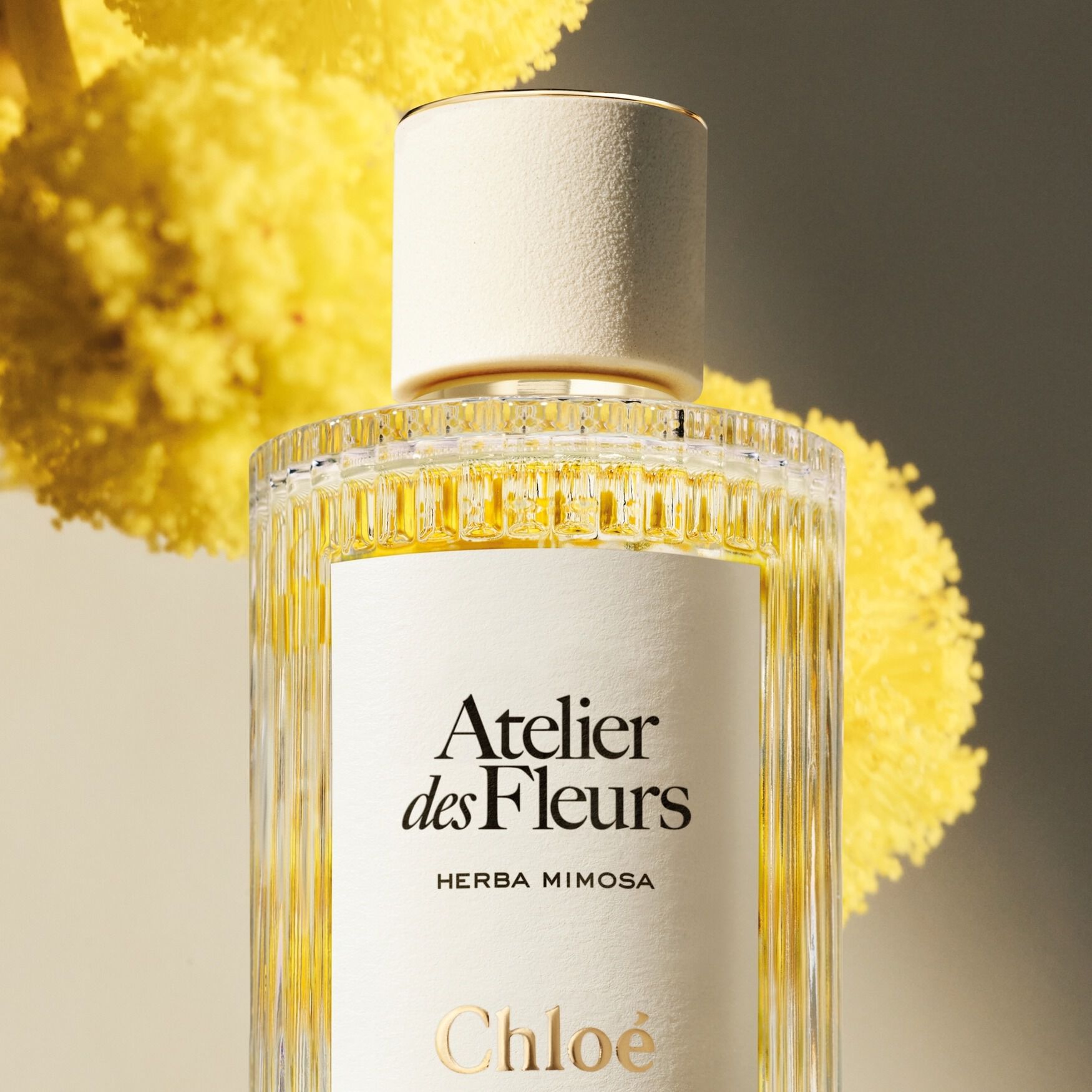 Chloé Atelier des Fleurs Herba Mimosa Eau de Parfum | Space NK