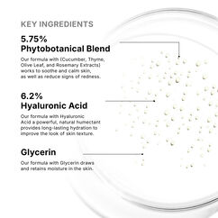 Phyto Corrective Essence Mist, , large, image8