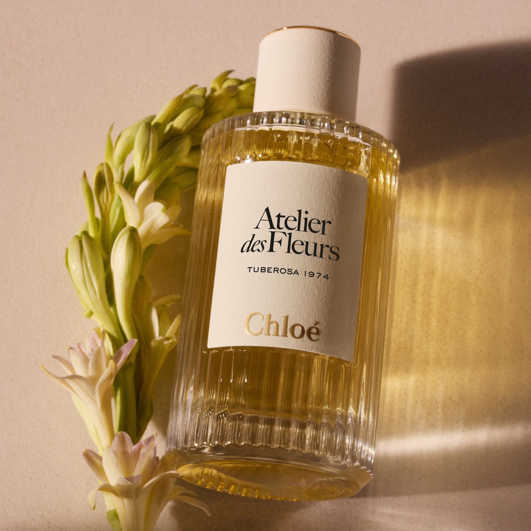 Chloé Atelier des Fleurs Tuberosa 1974 Eau de Parfum | Space NK