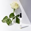 White Rose & Lemon Leaves a Fragrance Paintbrush Gel, , large, image6