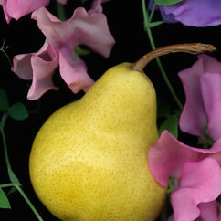 English Pear & Sweet Pea Cologne, , large, image3