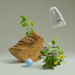 Bold Blend Eau de Parfum, , large, image4